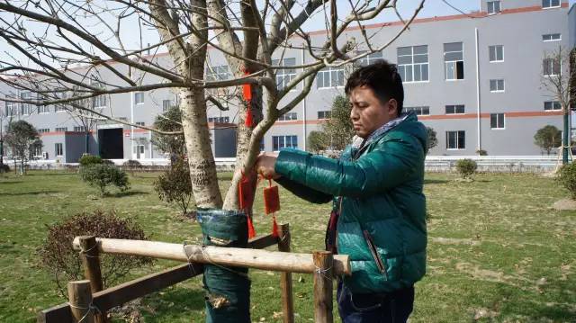 橡塑保溫材料廠家掛愿望牌 橡塑保溫材料廠家掛愿望牌